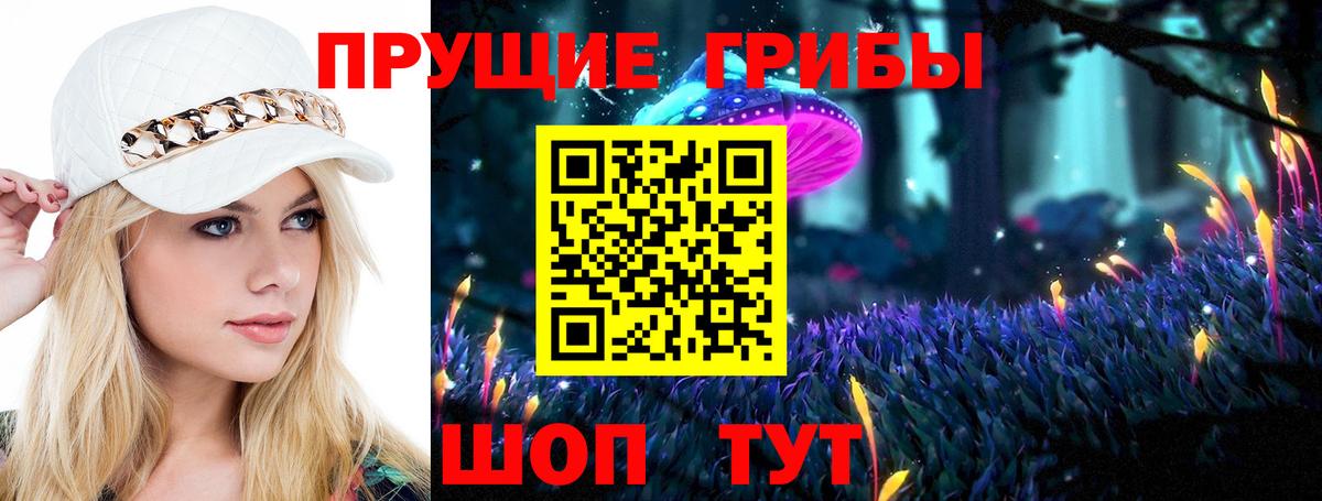 Галлюциногенные грибы Psilocybine cubensis Красноармейск